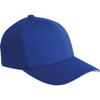 Flexfit Cool And Dry Piqué Mesh (6577Cd) in royal