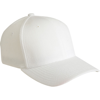 Flexfit Cool And Dry Piqué Mesh (6577Cd) in white
