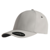 Flexfit Delta Cap (180) in silver