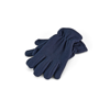 Poar Fleece Gloves in blue