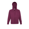 Lightweight Zip Hooded Sweatshirt in burgundy