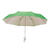 Umbrella Susan in green