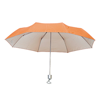 Umbrella Susan in orange