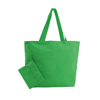 Beach Bag Purse in green