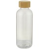 Ziggs 650 ml recycled plastic sport bottle in Transparent
