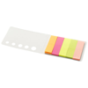 Fergason coloured sticky notes set in white-solid