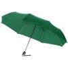 Alex 21.5'' foldable auto open/close umbrella in green