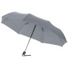 Alex 21.5'' foldable auto open/close umbrella in grey