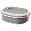 Spiga 750 ml lunch box in Grey