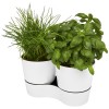 Herbs twin kitchen pot in White