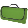 Salvie recycled plastic picnic blanket in Green