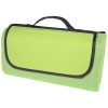 Salvie recycled plastic picnic blanket in Mid Green