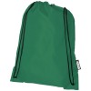 Oriole RPET drawstring backpack 5L in Green