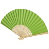 Carmen hand fan in Green