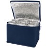 Spectrum 6-can recycled non-woven cooler bag 4L in Navy