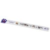 Tait 30cm house-shaped recycled plastic ruler in White