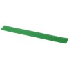 Rothko 30 cm plastic ruler in Green