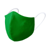 Liriax Reusable Hygienic Mask in Green