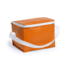 Coolcan Cool Bag in Orange