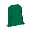 Spook Drawstring Bag in Green