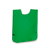 Sporter Vest in Green