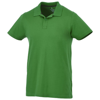 Primus short sleeve men's polo in fern-green