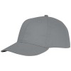 Ares 6 panel cap in Grey