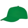 Ares 6 panel cap in Fern Green