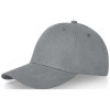 Davis 6 panel cap in Grey