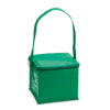 Tivex Cool Bag in Green