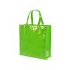 Zakax Bag in Green Fluor