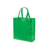 Divia Bag in Green