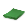 Lypso Absorbent Towel in Green