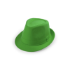 Likos Hat in Green