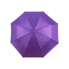 Ziant Umbrella in Purple