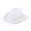Osdel Hat in White