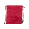 Dinki Drawstring Bag in Red