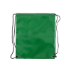 Dinki Drawstring Bag in Green
