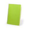 Dienel Notebook in Light Green