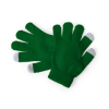 Pigun Touchscreen Gloves in Green