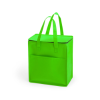 Lans Cool Bag in Light Green
