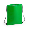 Nipex Drawstring Cool Bag in Green