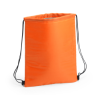 Nipex Drawstring Cool Bag in Orange