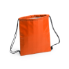 Tradan Drawstring Cool Bag in Orange