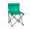 Flentul Chair in Green