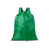 Shauden Drawstring Bag in Green