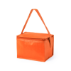 Hertum Cool Bag in Orange