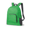 Mendy Foldable Backpack in Green