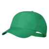 Keinfax Cap in Green
