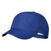 Keinfax Cap in Blue